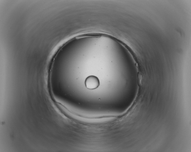 X0000113881508200910081736