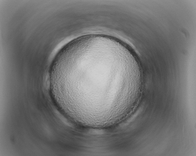 X0000113881509200910081736