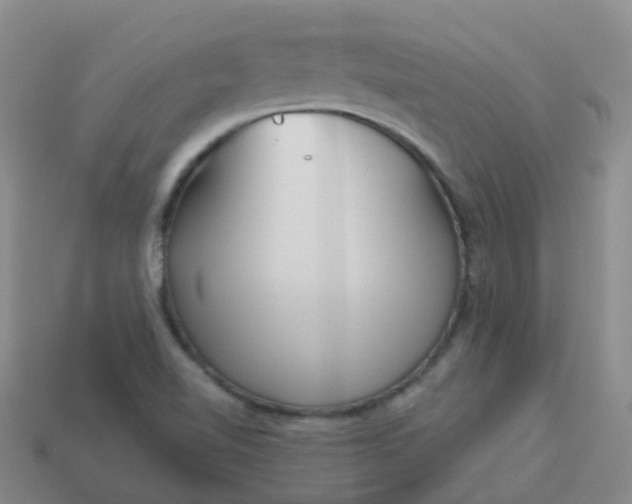 X0000113881510200910081736