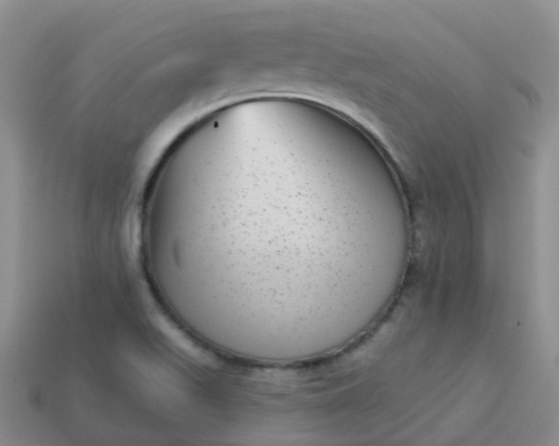 X0000113881511200910081736