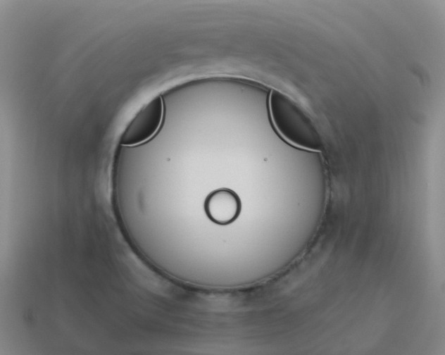 X0000113881512200910081736