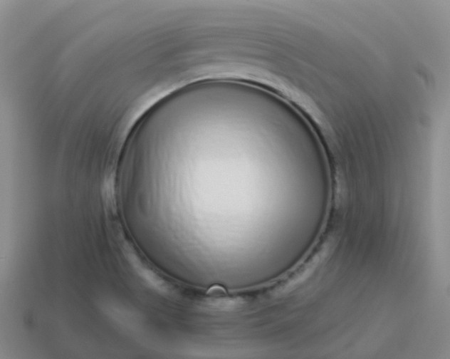 X0000113881513200910081736