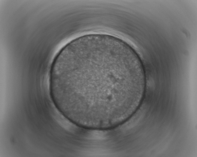 X0000113881514200910081736