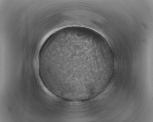 X0000113881515200910081736