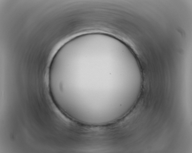 X0000113881516200910081736