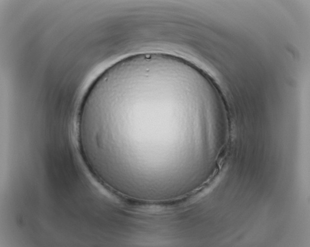 X0000113881517200910081736