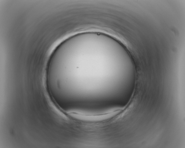 X0000113881518200910081736