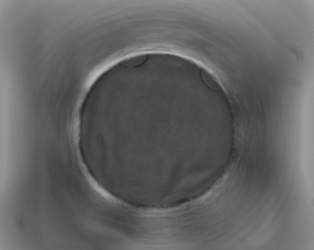 X0000113881519200910081736