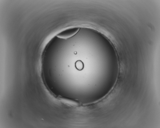 X0000113881520200910081736