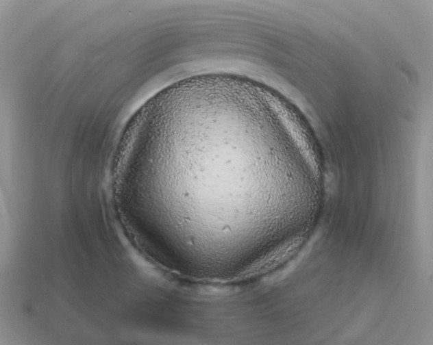 X0000113881521200910081736