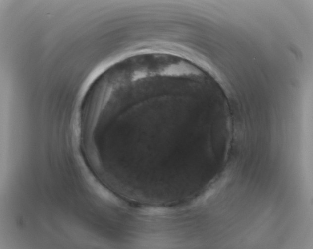 X0000113881522200910081736