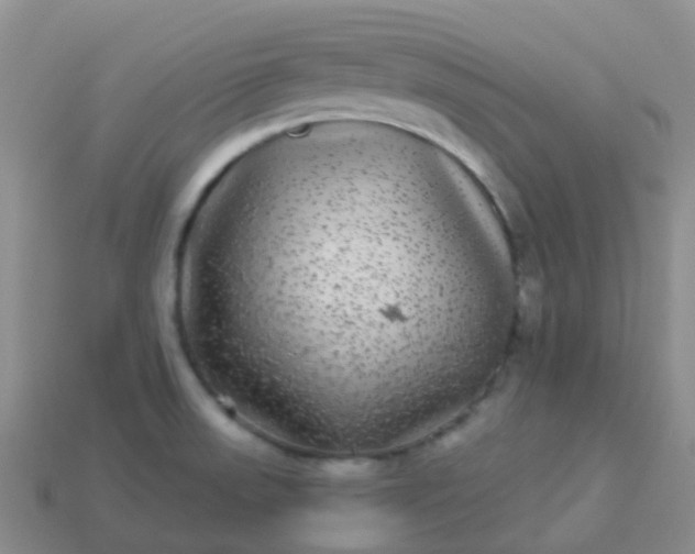 X0000113881523200910081736