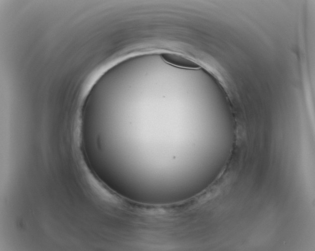 X0000113881524200910081736