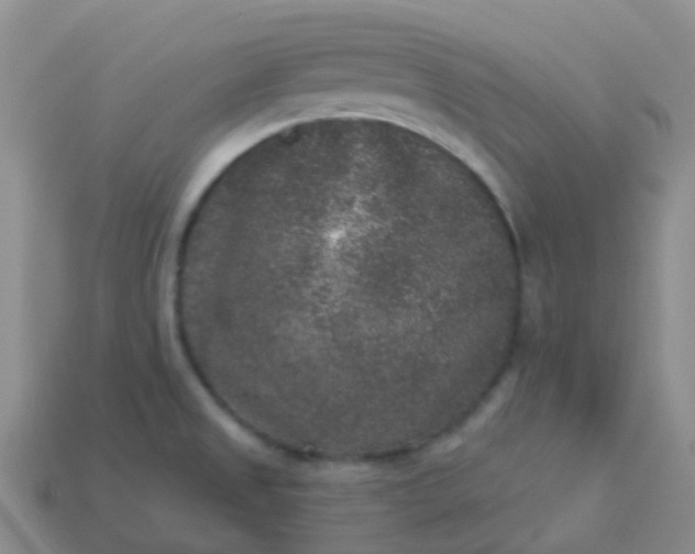 X0000113881525200910081736