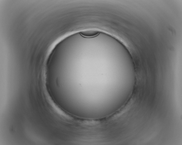 X0000113881526200910081736