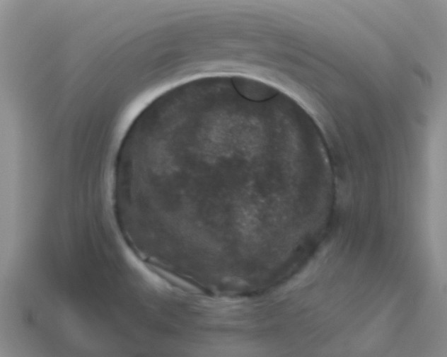 X0000113881527200910081736