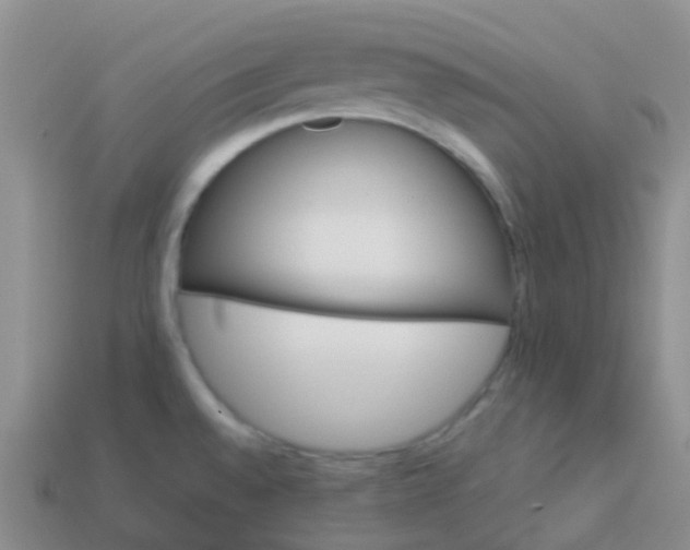 X0000113881528200910081736