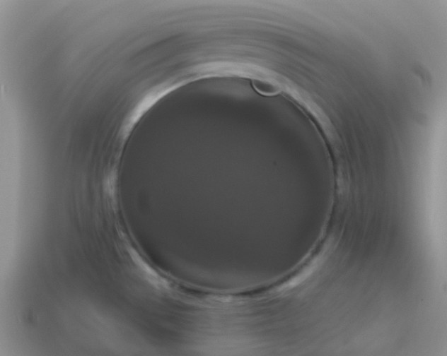 X0000113881529200910081736