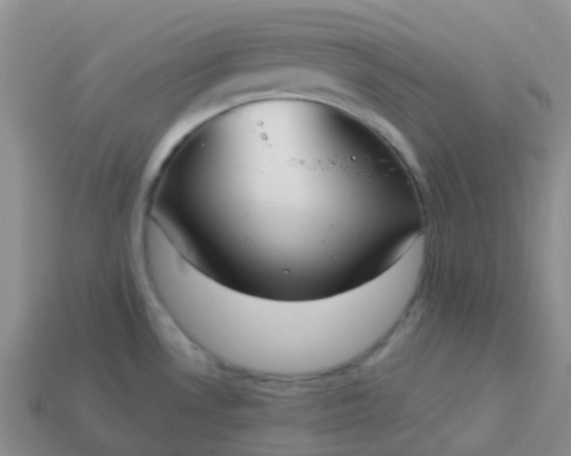 X0000113881530200910081736