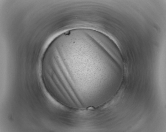 X0000113881531200910081736