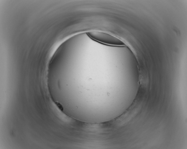 X0000113881532200910081736