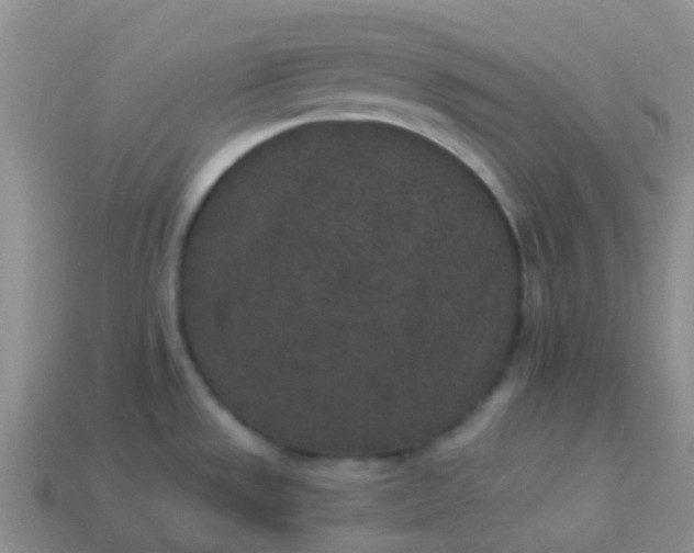 X0000113881533200910081736