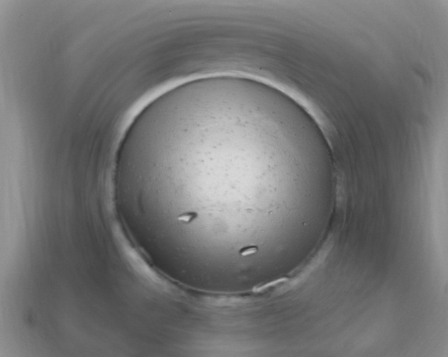 X0000113881534200910081736