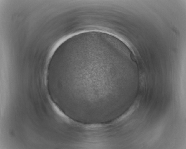 X0000113881535200910081736