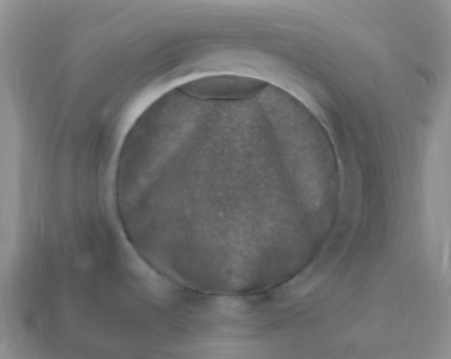 X0000113881536200910081737