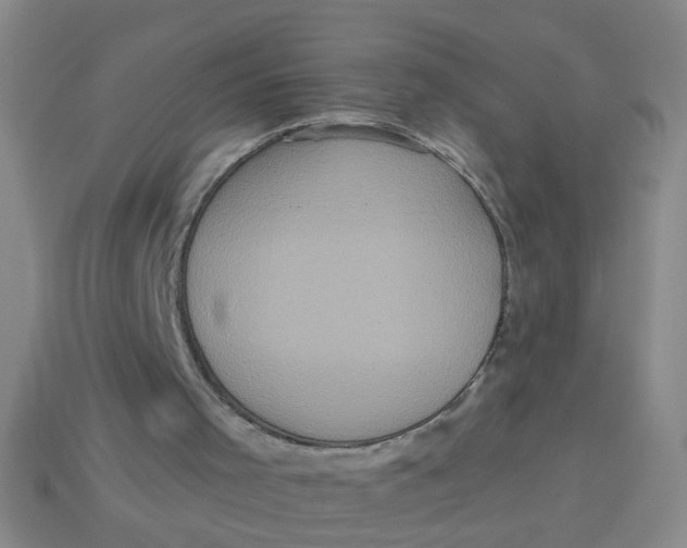 X0000113880001200910151323