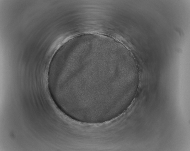 X0000113880002200910151323