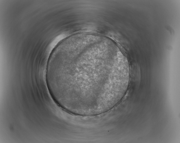 X0000113880003200910151323