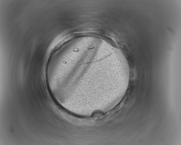 X0000113880004200910151323