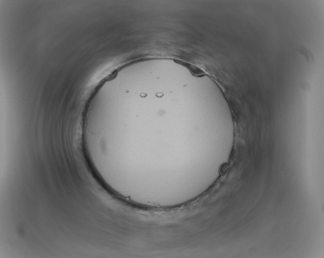 X0000113880005200910151323