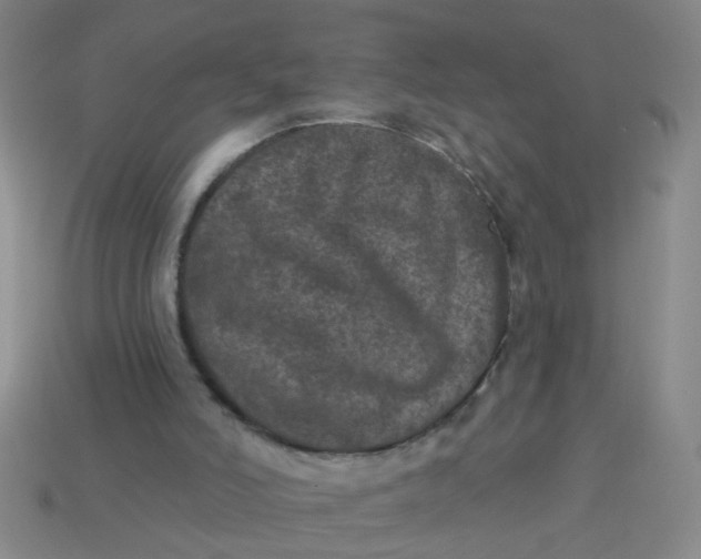 X0000113880006200910151323