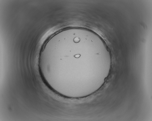 X0000113880007200910151323