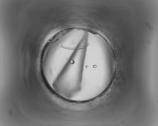 X0000113880008200910151323