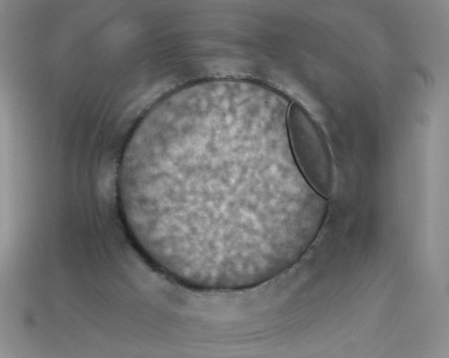 X0000113880009200910151323