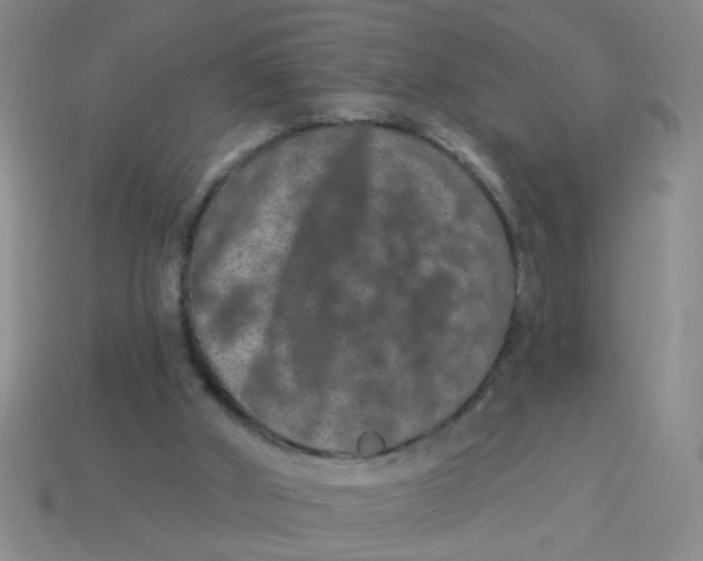 X0000113880010200910151323