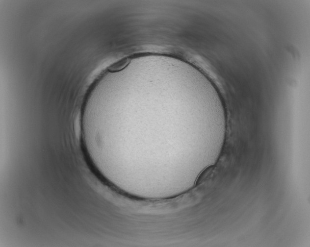 X0000113880011200910151323