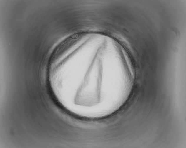 X0000113880012200910151323