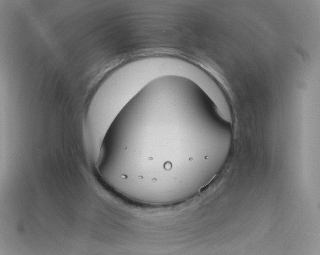 X0000113880013200910151323