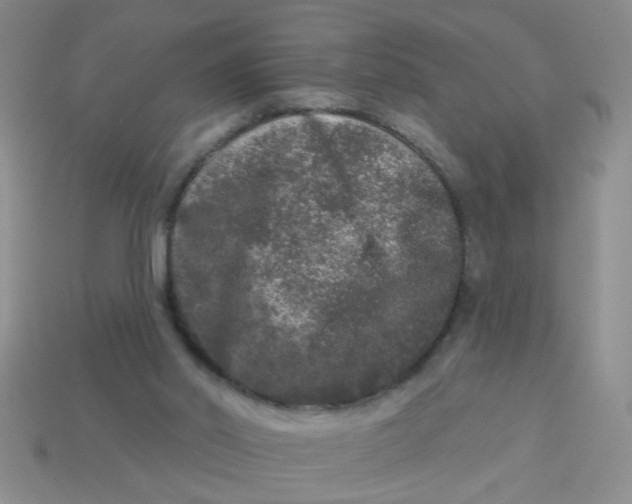 X0000113880014200910151323