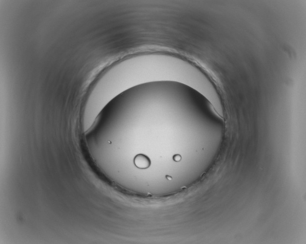 X0000113880015200910151323