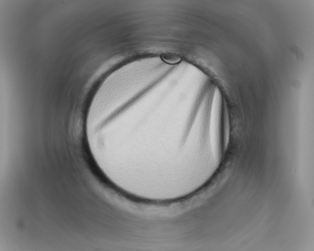 X0000113880016200910151323