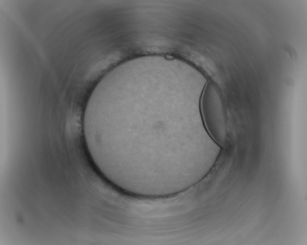 X0000113880017200910151323