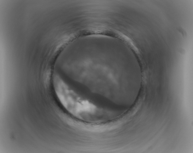 X0000113880018200910151323