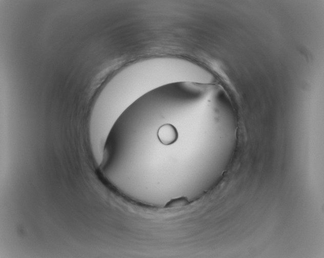 X0000113880019200910151323