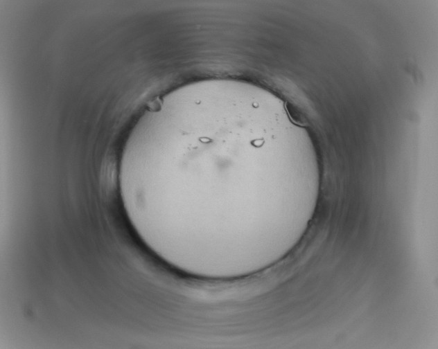 X0000113880021200910151323