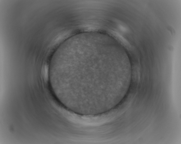 X0000113880022200910151323